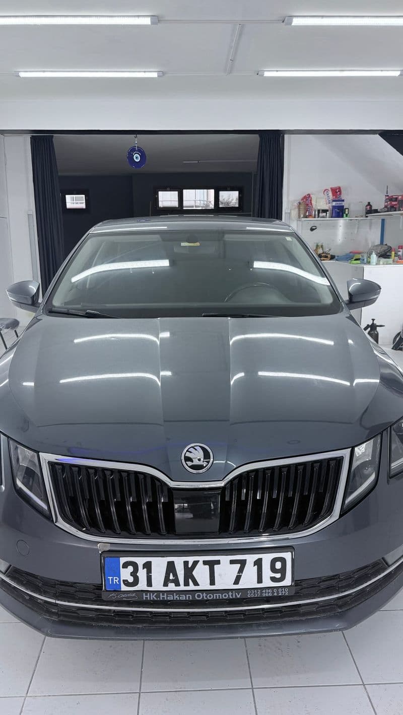 Skoda Octavia — Polisaj ve boya koruma